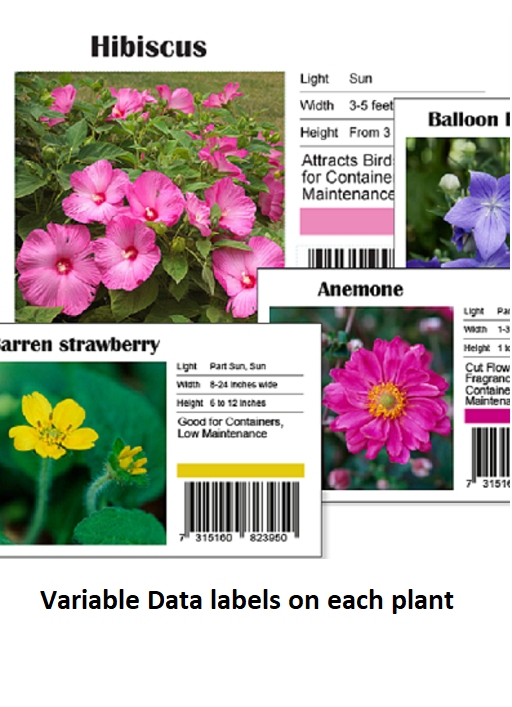 Flower labels